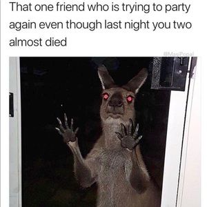 Meet your Posher, Daniel